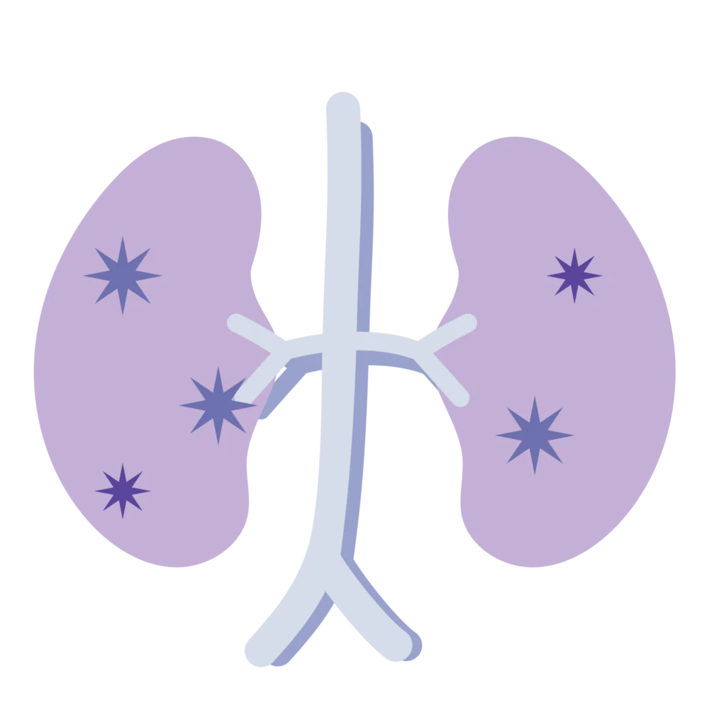 慢性腎臓病（CKD）とは